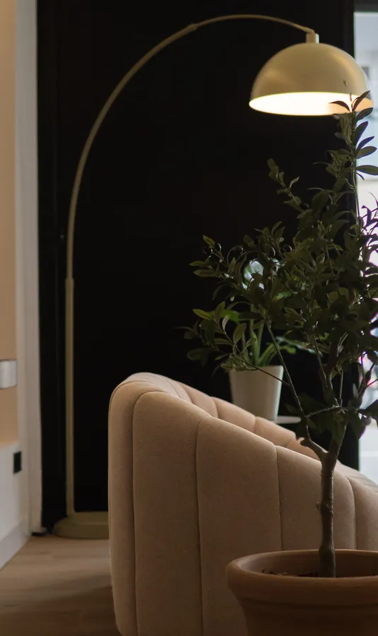 Un racó amb un llum d’arc, una butaca i plantes