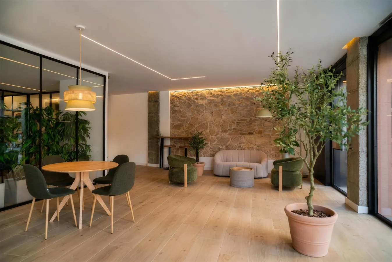 La sala de l’oficina: la paret de pedra, les butaques verdes, la taula rodona i l’olivera